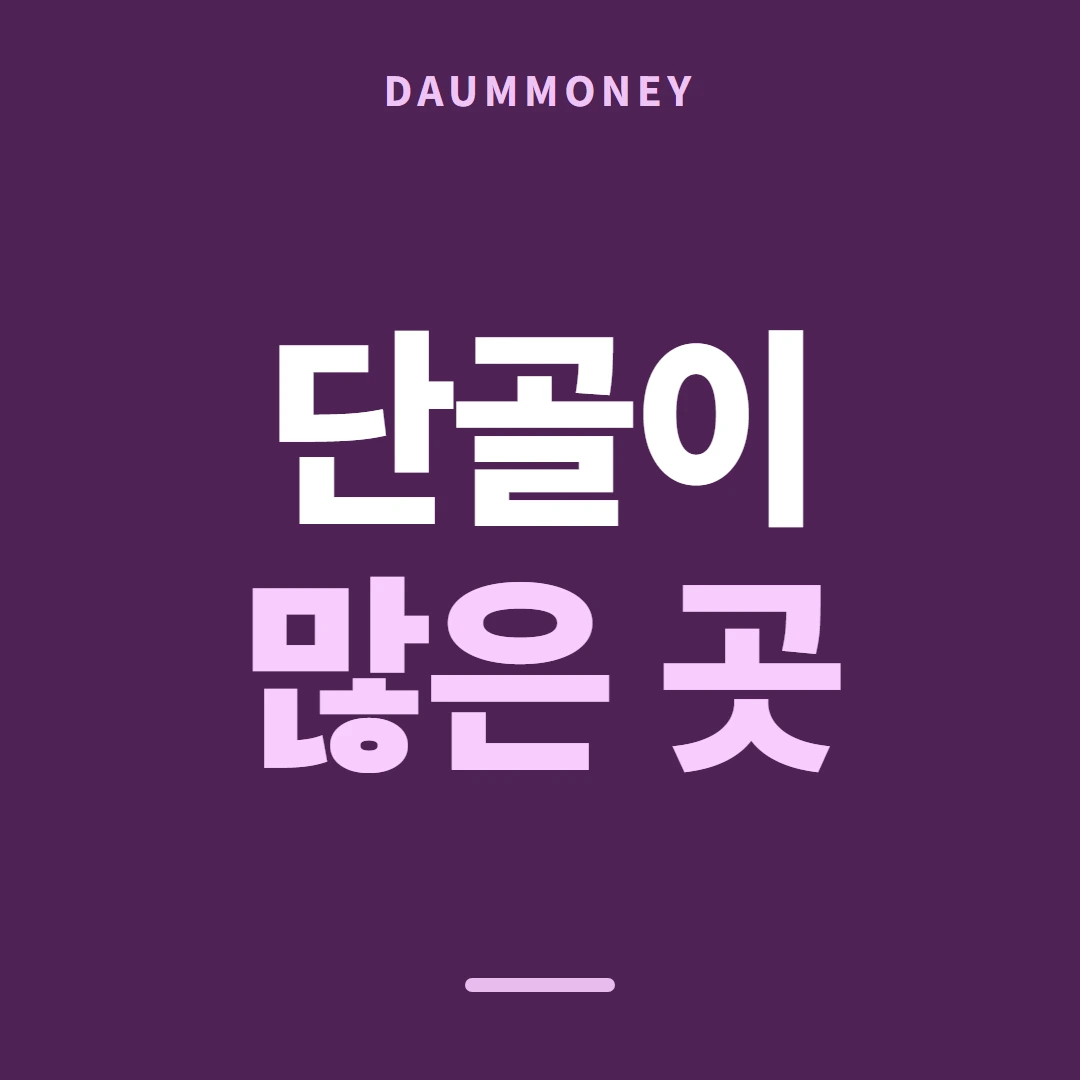 다음머니 신용카드깡업체 전화로 대 보기 안내 배너